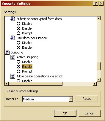 Internet Explorer 6 Enable Active Scripting Image