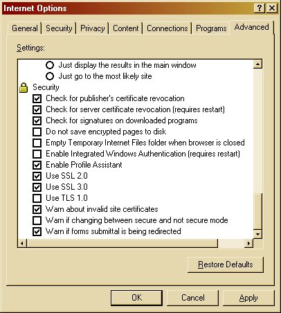 Internet Explorer 6 Advanced Tab to Security Setting Image